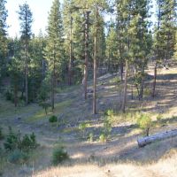 Kuman Creek Hideaway images 4