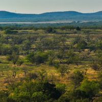 Mustang Ridge images 2