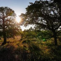 Mustang Ridge images 3