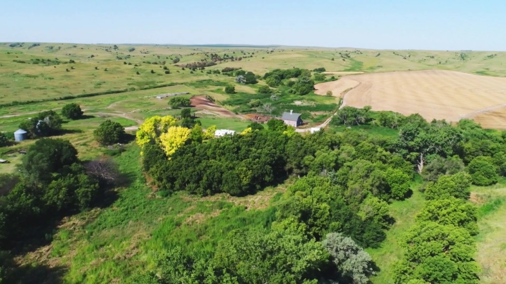 Hayes County Pivots Grass and Acreage featured image