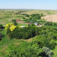 Hayes County Pivots Grass and Acreage