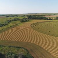 Hayes County Pivots Grass and Acreage images 2