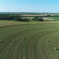 Hayes County Pivots Grass and Acreage images 3