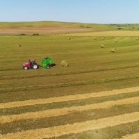 Hayes County Pivots Grass and Acreage images 4