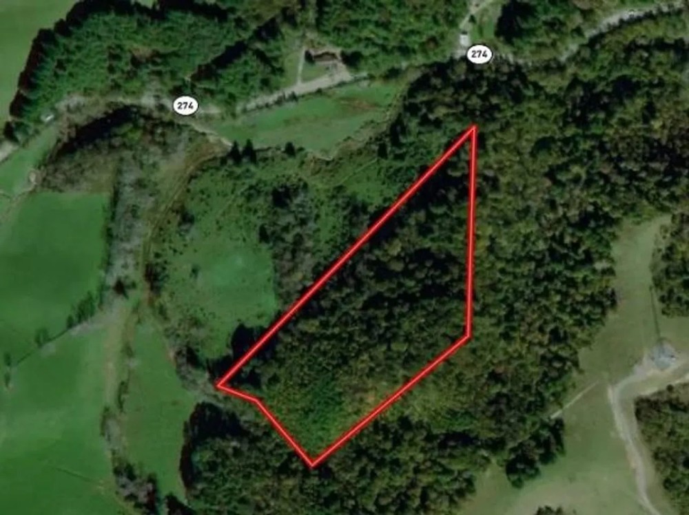 16.62 acres of Hunting and Recreational Land for Sale in Grayson County VA featured image