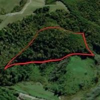 16.62 acres of Hunting and Recreational Land for Sale in Grayson County VA images 4