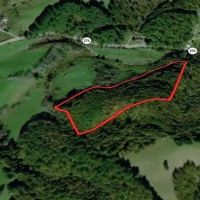 16.62 acres of Hunting and Recreational Land for Sale in Grayson County VA images 5