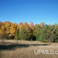 Michigan Vacant Recreational 50115876