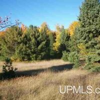 Michigan Vacant Recreational 50115876 images 2