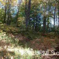 Michigan Vacant Recreational 50115876 images 5