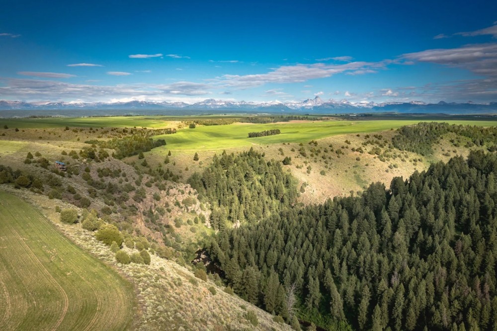 Badger Creek Canyon Ranch featured image