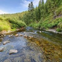 Badger Creek Canyon Ranch images 3