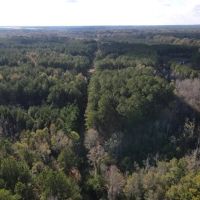 32 - Acres of Residential Recreational Land For Sale in Cumberland County NC images 3