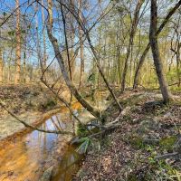 Turn Key Whitetail Preserve images 4