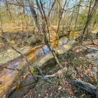 Turn Key Whitetail Preserve images 5