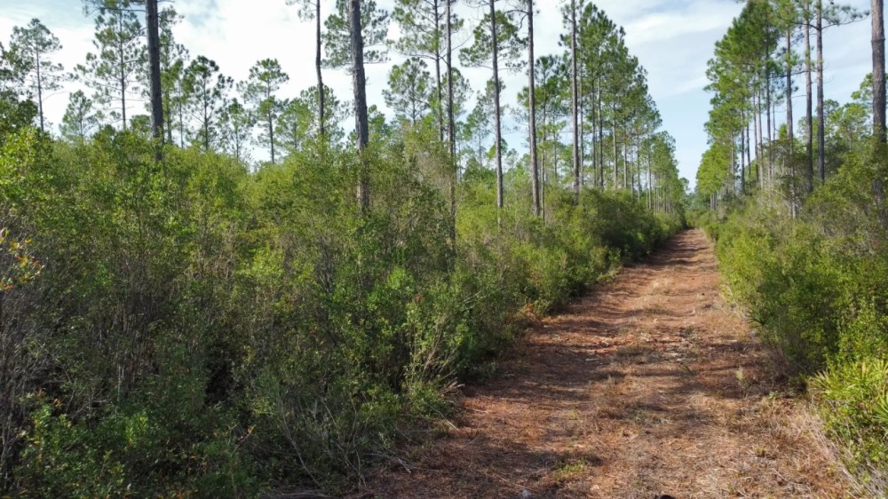 Walker Creek Road Tract featured image