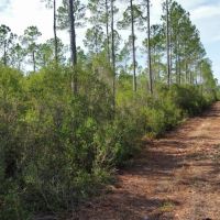 Walker Creek Road Tract