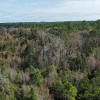 Walker Creek Road Tract images 2