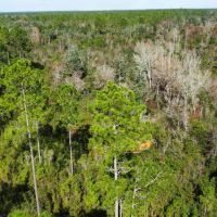 Walker Creek Road Tract images 3