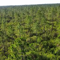 Walker Creek Road Tract images 4
