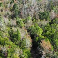 Walker Creek Road Tract images 5