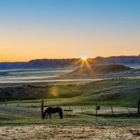Rafter J Ranch
