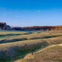 Rafter J Ranch images 4