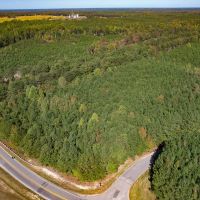 27.8 acres of Residential Recreational Timberland For Sale in Caroline County VA images 2
