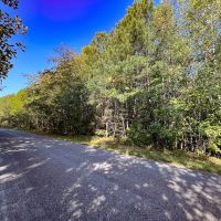 27.8 acres of Residential Recreational Timberland For Sale in Caroline County VA images 4