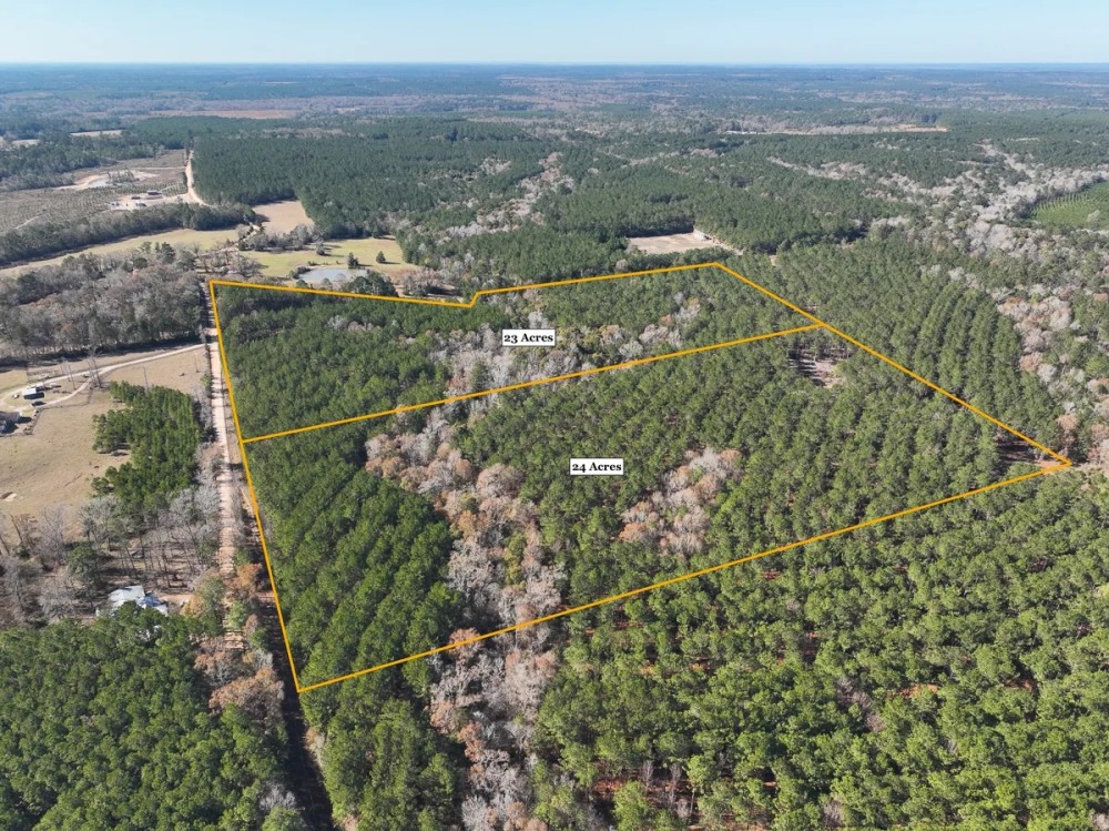 23 Acres Puckett Cutoff featured image