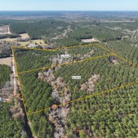23 Acres Puckett Cutoff