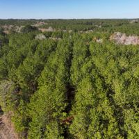 23 Acres Puckett Cutoff images 2