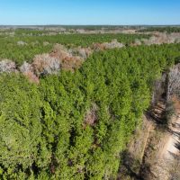 23 Acres Puckett Cutoff images 3