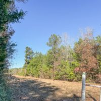 23 Acres Puckett Cutoff images 5