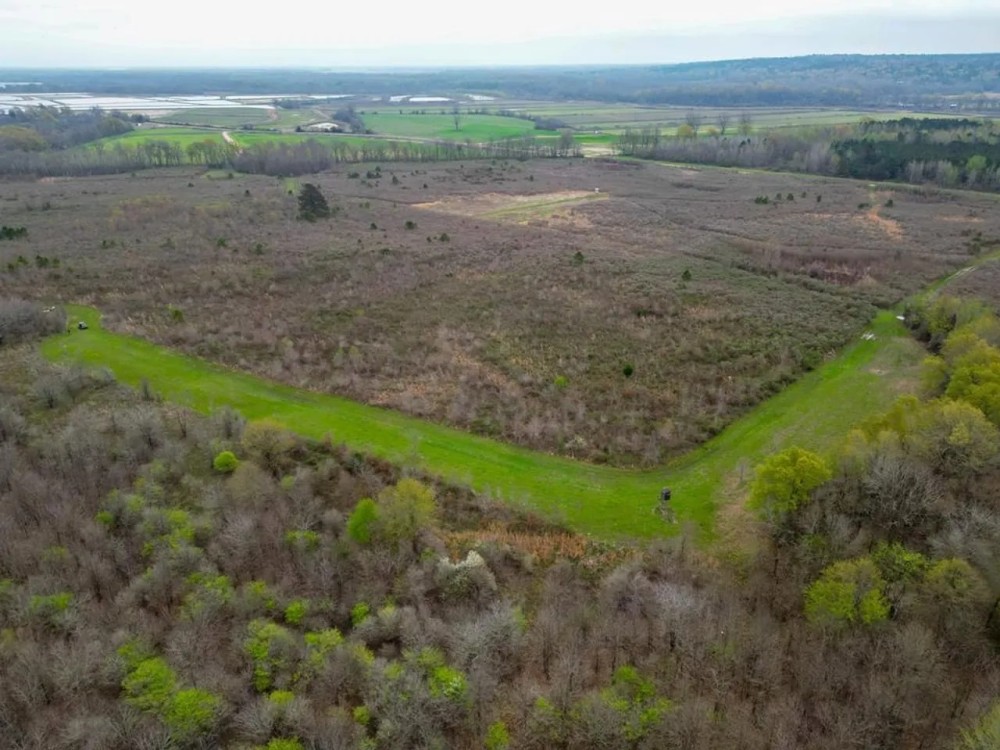 Hunting Land For Sale in Franklin Parish LA 540 Acres featured image