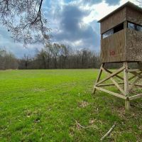 Hunting Land For Sale in Franklin Parish LA 540 Acres images 5