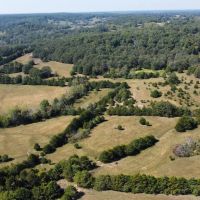 65 Acres in Laclede County Missouri