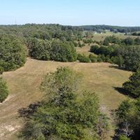 65 Acres in Laclede County Missouri images 3