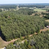 65 Acres in Laclede County Missouri images 4