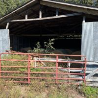 65 Acres in Laclede County Missouri images 5