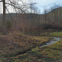470 acres in Northwest Georgia