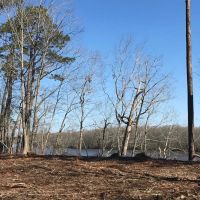 MARKET BASED PRICE IMPROVEMENT .70 acre Waterfront Building Lot For Sale on the Chowan River in Riversedge Subdivision images 4