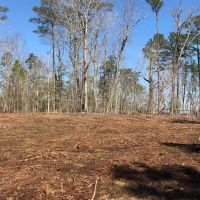 MARKET BASED PRICE IMPROVEMENT .70 acre Waterfront Building Lot For Sale on the Chowan River in Riversedge Subdivision images 5