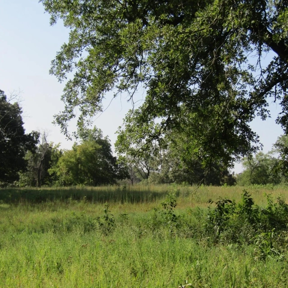 ROLLING HILL RANCHES DEVELOPMENT PHASE 2 Choctaw County OK LOT 3 11.99 featured image