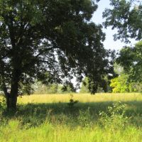ROLLING HILL RANCHES DEVELOPMENT PHASE 2 Choctaw County OK LOT 3 11.99 images 2
