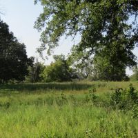 ROLLING HILL RANCHES DEVELOPMENT PHASE 2 Choctaw County OK LOT 3 11.99 images 3