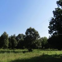 ROLLING HILL RANCHES DEVELOPMENT PHASE 2 Choctaw County OK LOT 3 11.99 images 4