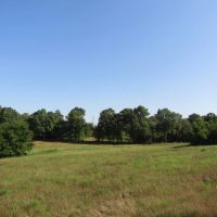 ROLLING HILL RANCHES DEVELOPMENT PHASE 2 Choctaw County OK LOT 3 11.99 images 5