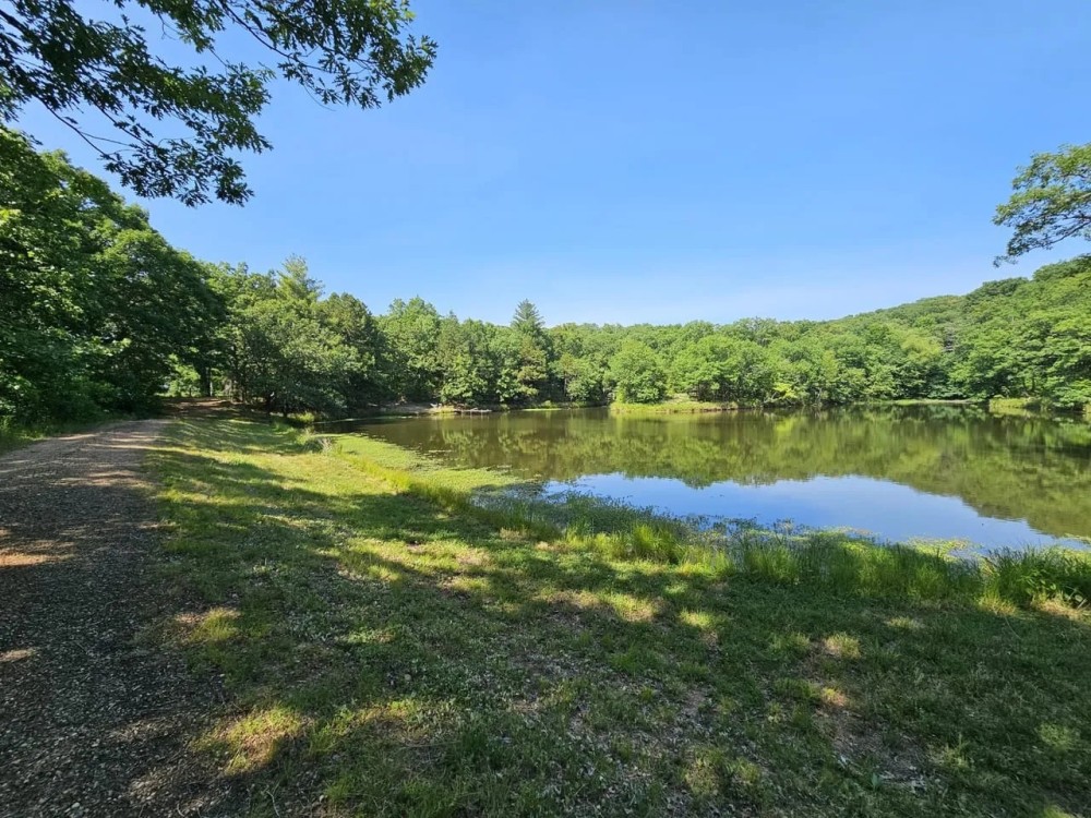 Premier Hunting Fishing Acreage in Henry County featured image