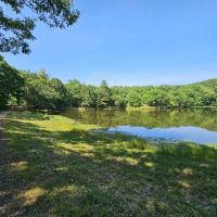 Premier Hunting Fishing Acreage in Henry County